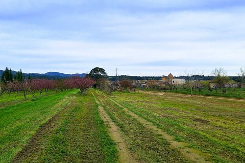 Finca a Ginestar, Tarragona, Ginestar - € 28.000 | Ref: CC839 - foto 15